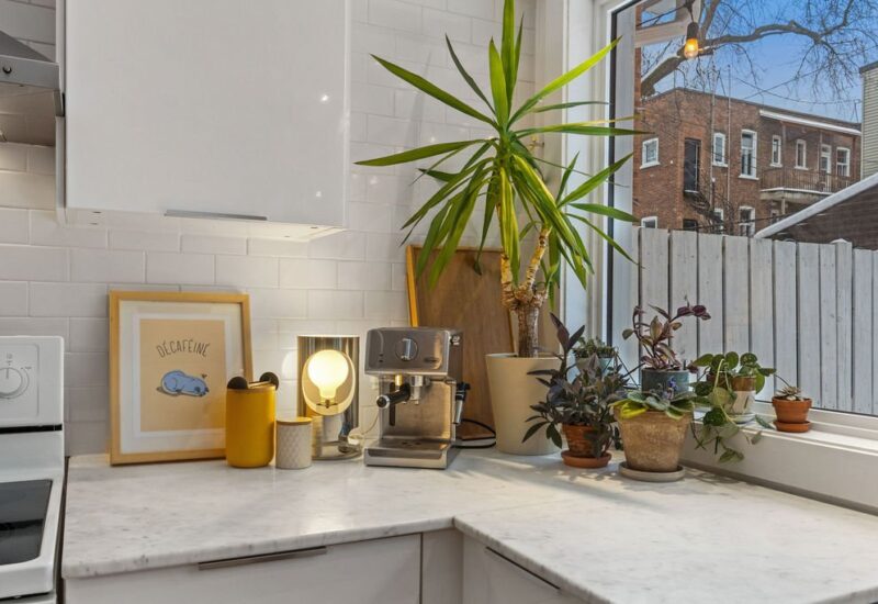 4568 – 4570 Rue Garnier  Montréal (Le Plateau-Mont-Royal) (Montréal)