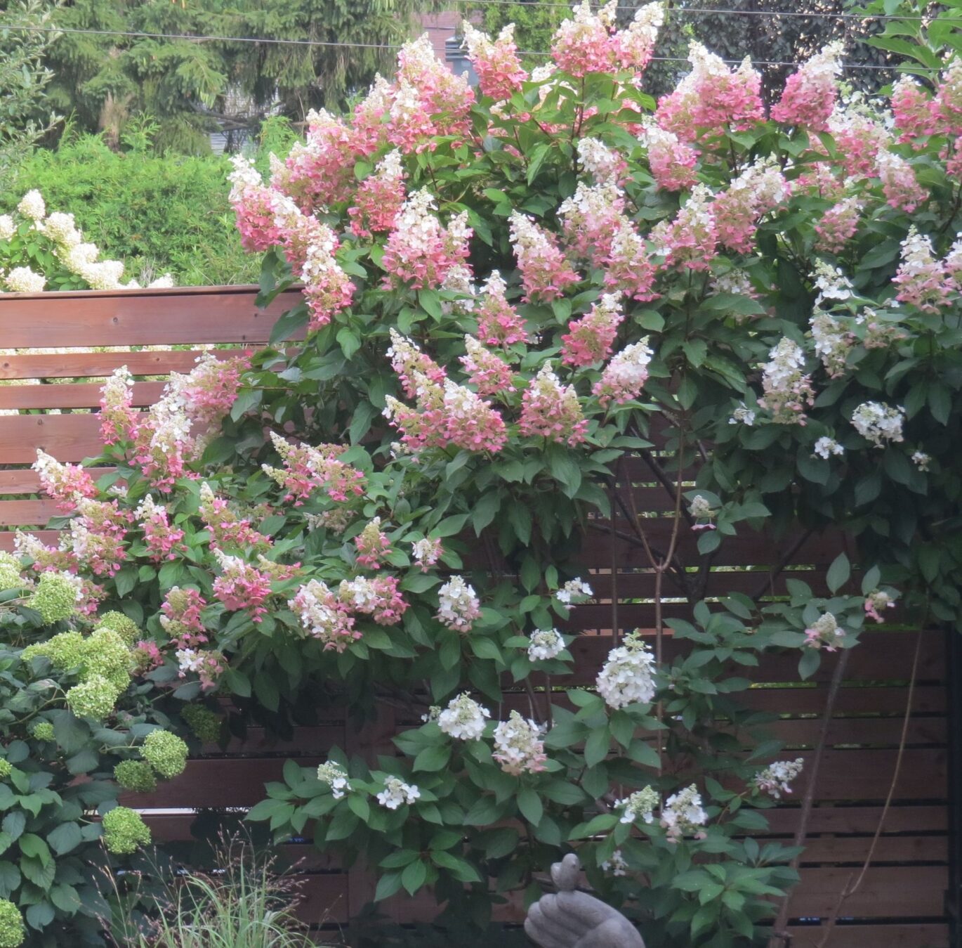 354 Av. de Dulwich  Saint-Lambert (Montérégie)