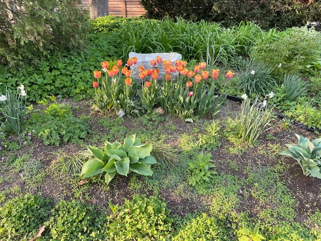 354 Av. de Dulwich  Saint-Lambert (Montérégie)