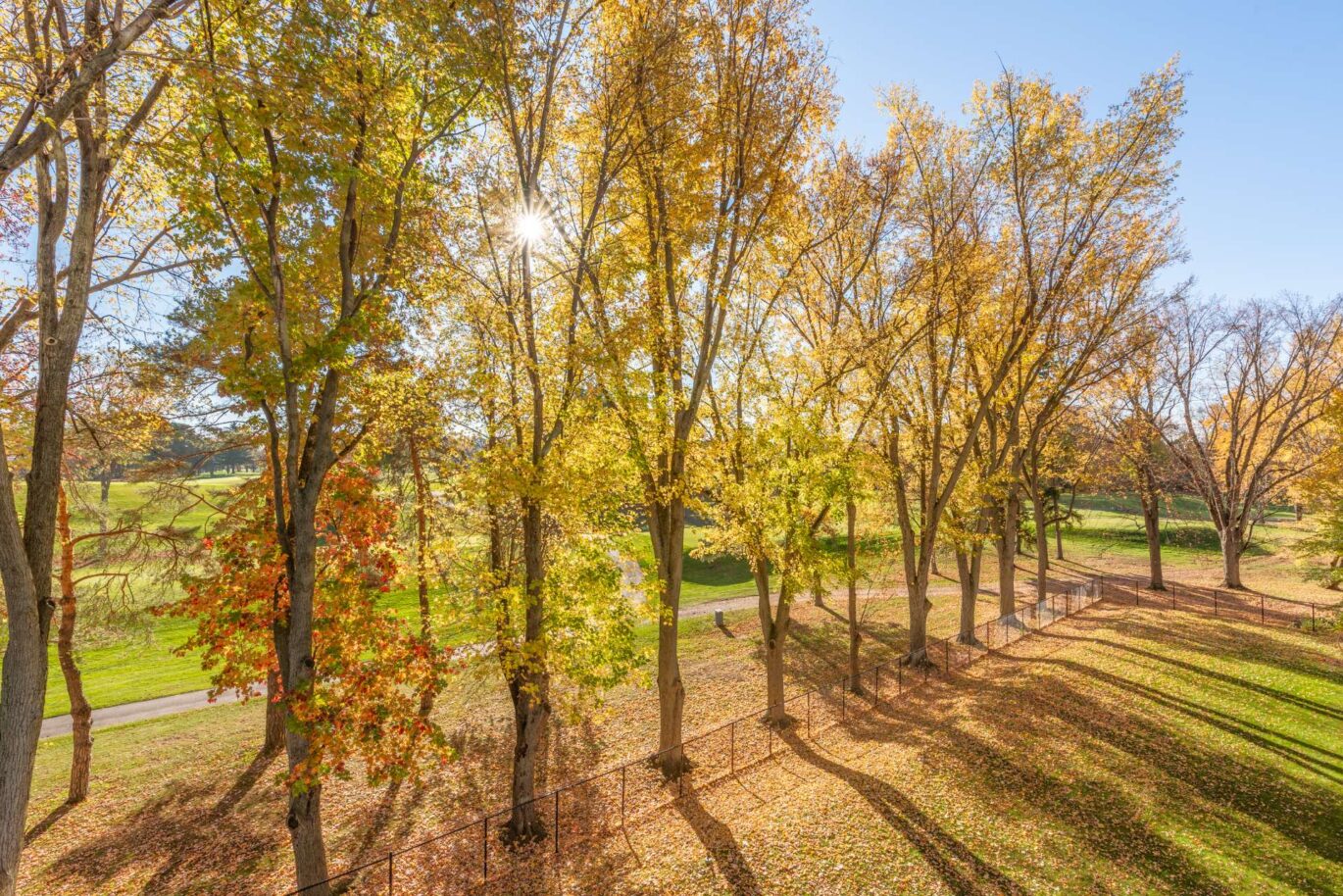 1000 Rue les Érables #305  Laval (Laval-sur-le-Lac) (Laval)