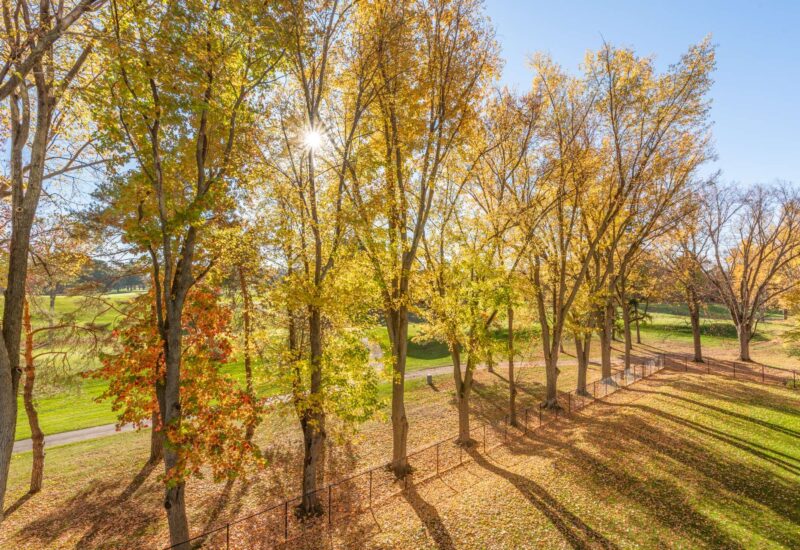 1000 Rue les Érables #305  Laval (Laval-sur-le-Lac) (Laval)