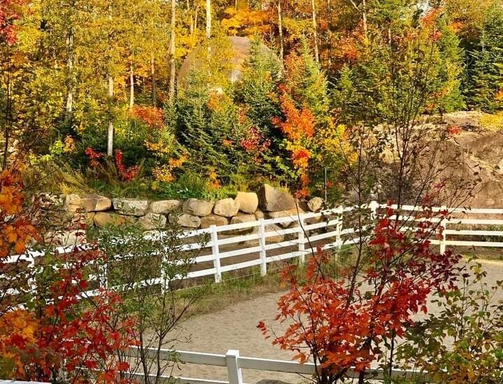 340 Ch. de Chertsey  Sainte-Marguerite-du-Lac-Masson (Laurentides)