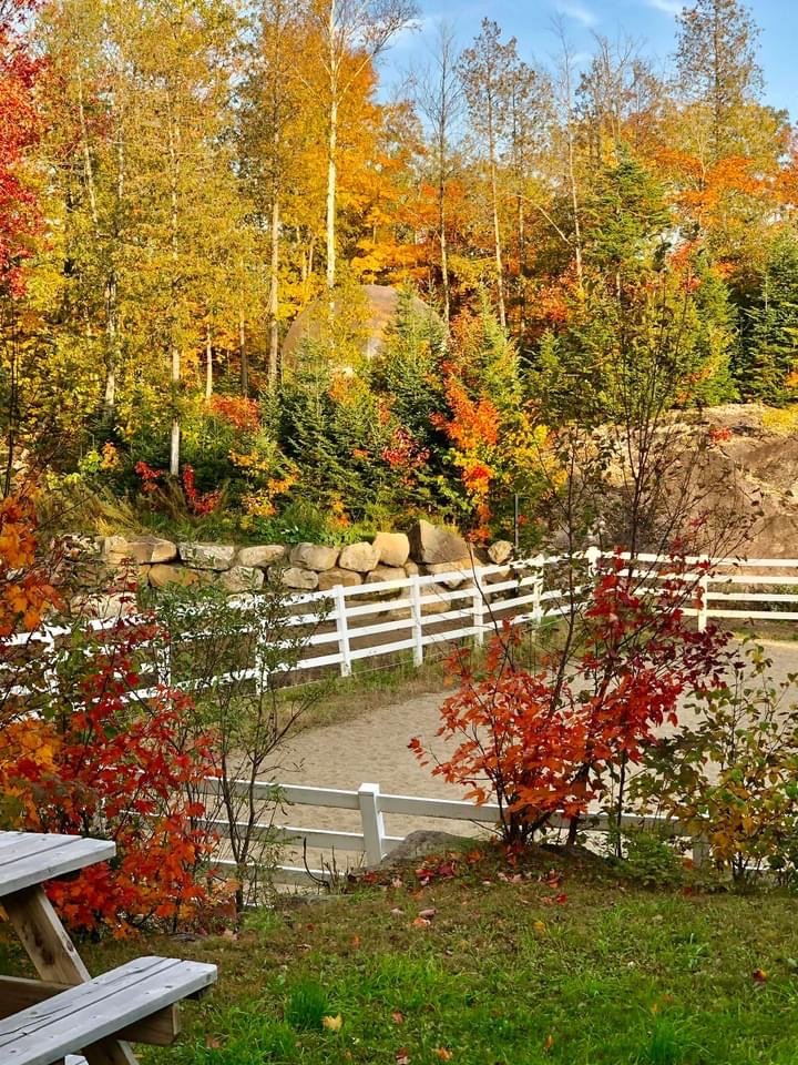 340 Ch. de Chertsey  Sainte-Marguerite-du-Lac-Masson (Laurentides)