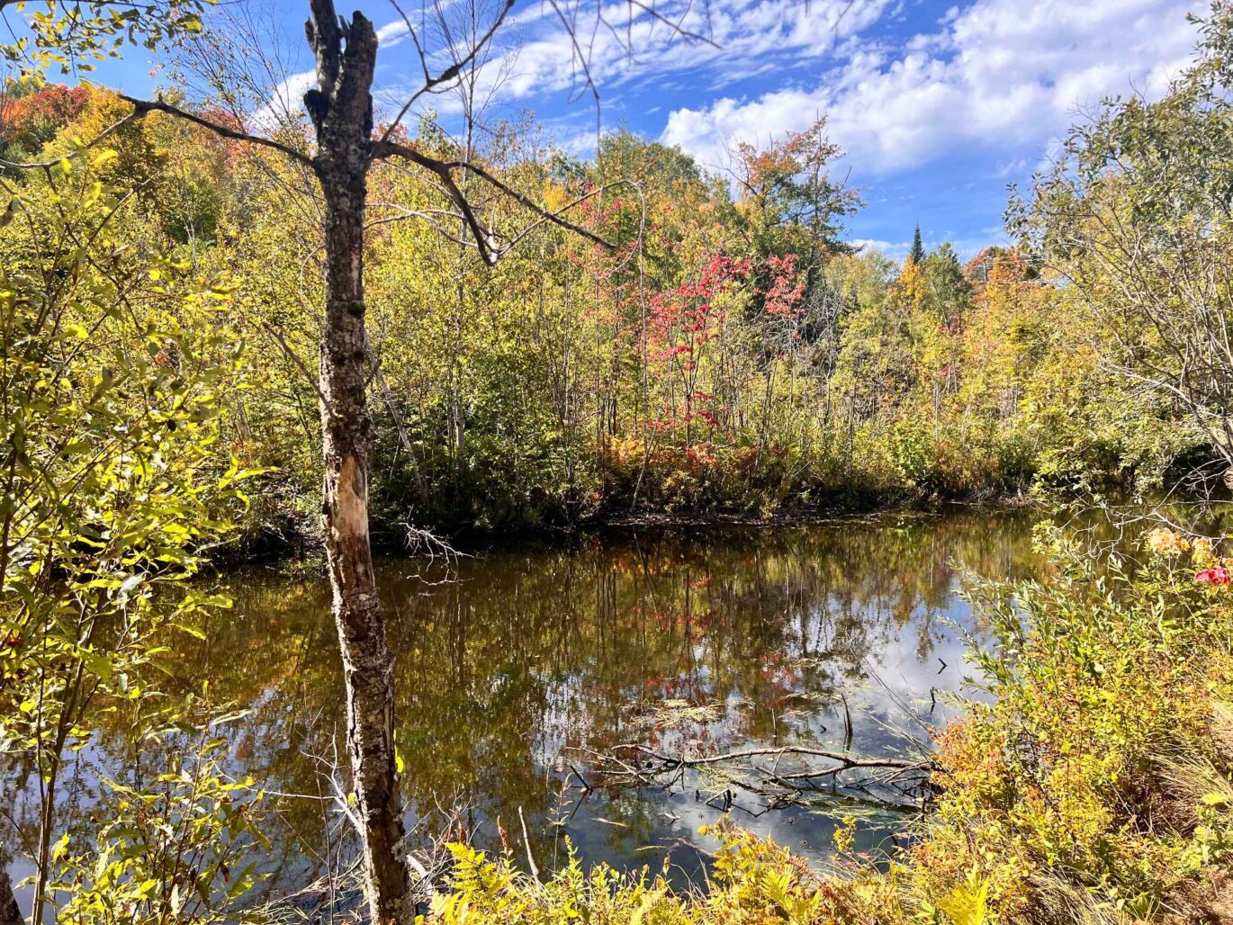 340 Ch. de Chertsey  Sainte-Marguerite-du-Lac-Masson (Laurentides)
