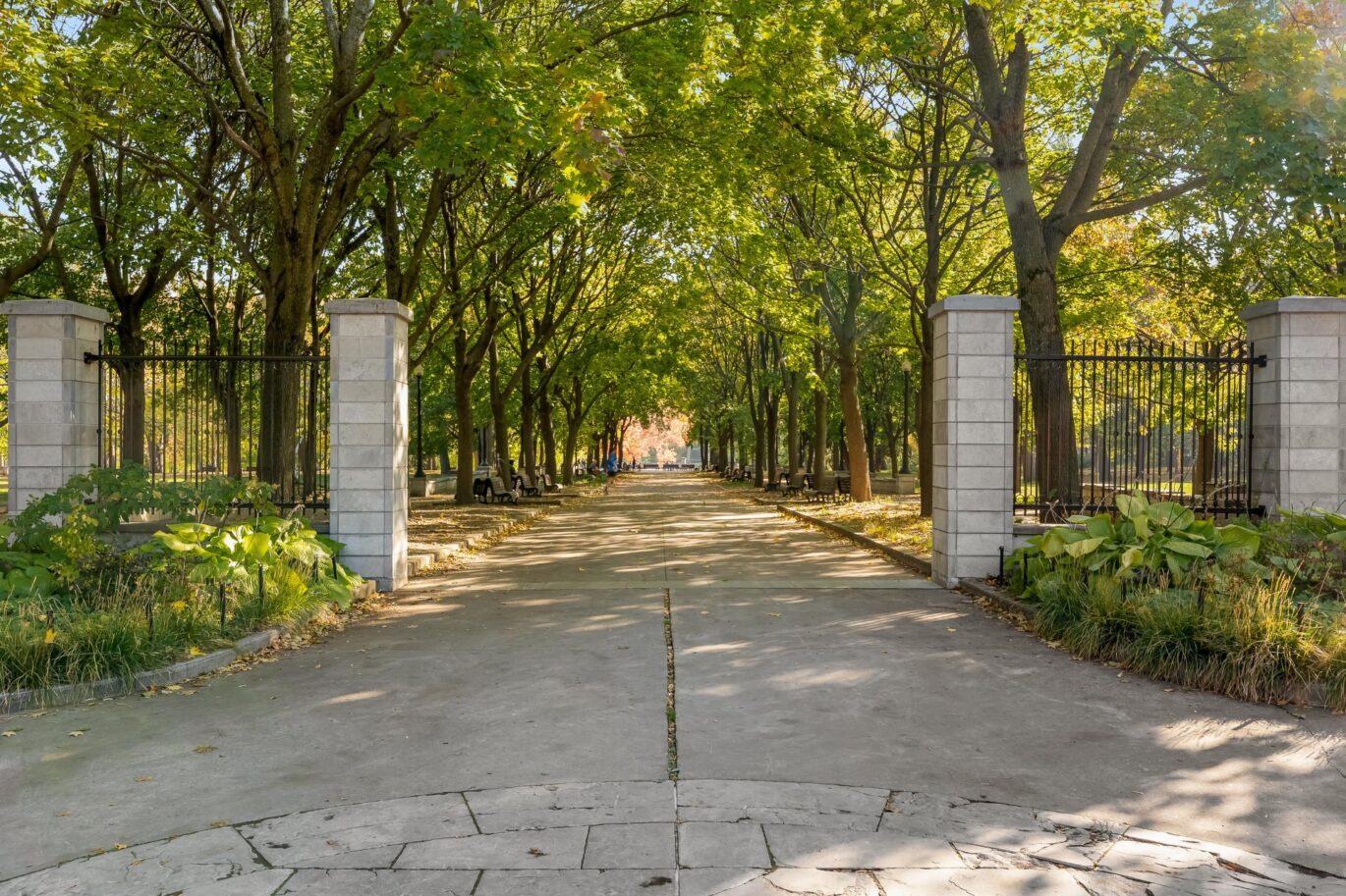 1285 Rue Rachel E.  Montréal (Le Plateau-Mont-Royal) (Montréal)