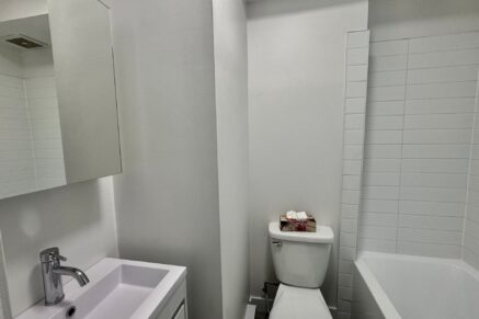 5770 9e Avenue  Montréal (Rosemont/La Petite-Patrie) (Montréal)