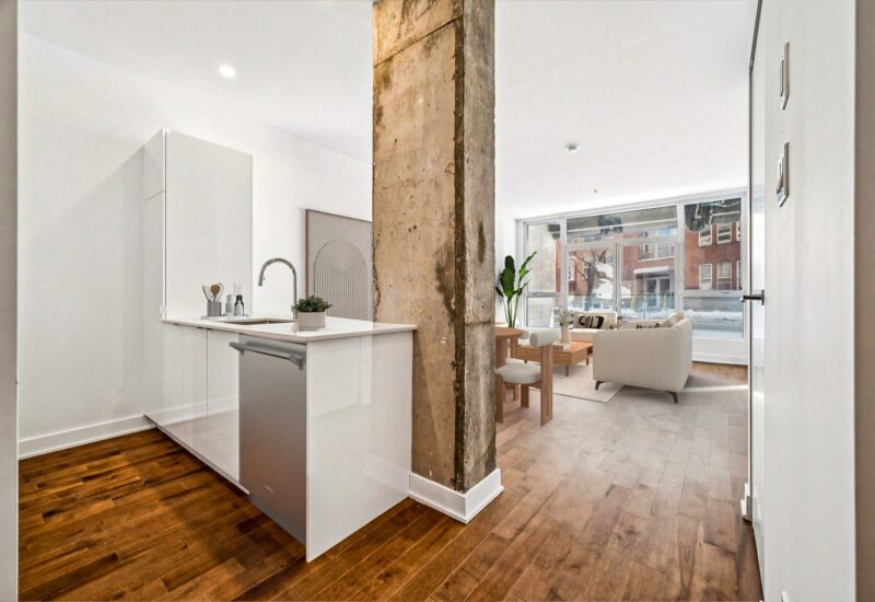 285 Av. Laurier E. #104  Montréal (Le Plateau-Mont-Royal) (Montréal)