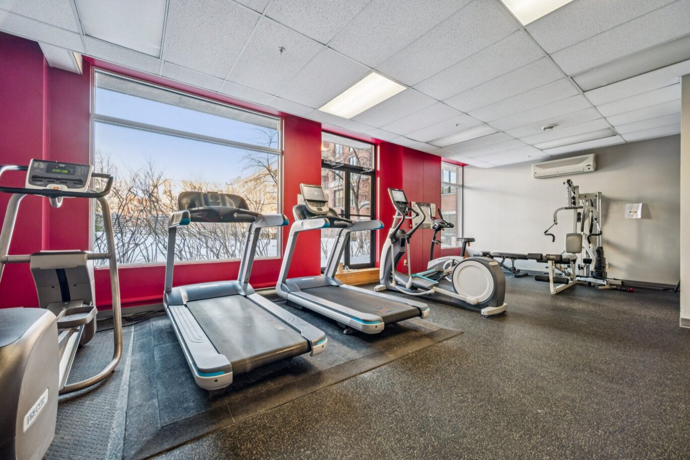 285 Av. Laurier E. #104  Montréal (Le Plateau-Mont-Royal) (Montréal)