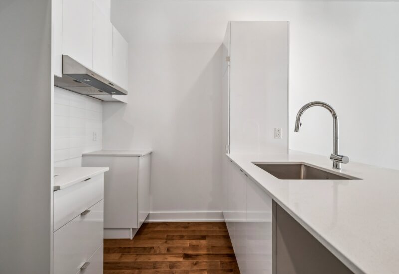 285 Av. Laurier E. #104  Montréal (Le Plateau-Mont-Royal) (Montréal)