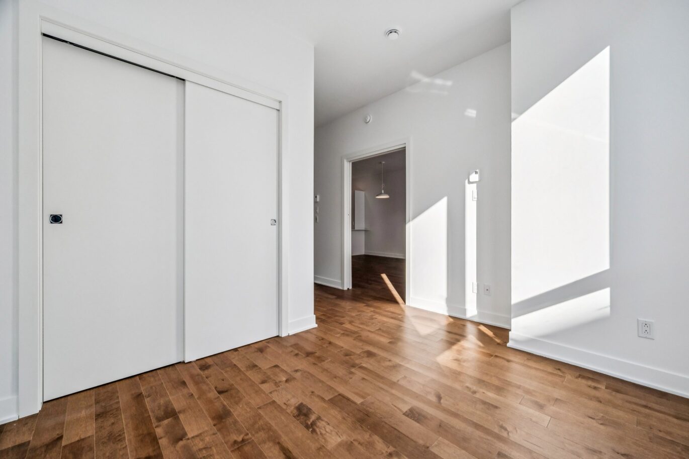 285 Av. Laurier E. #104  Montréal (Le Plateau-Mont-Royal) (Montréal)