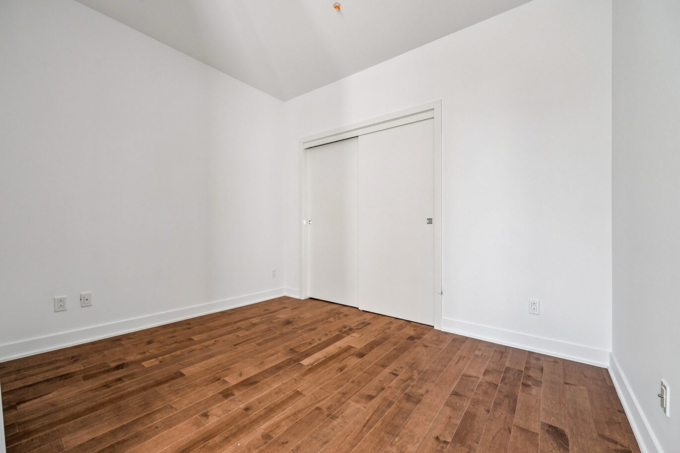 285 Av. Laurier E. #104  Montréal (Le Plateau-Mont-Royal) (Montréal)