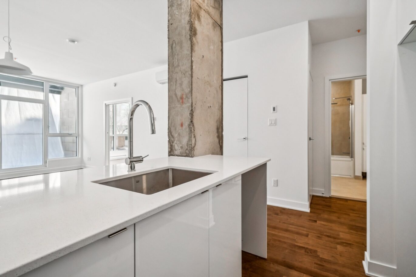 285 Av. Laurier E. #104  Montréal (Le Plateau-Mont-Royal) (Montréal)