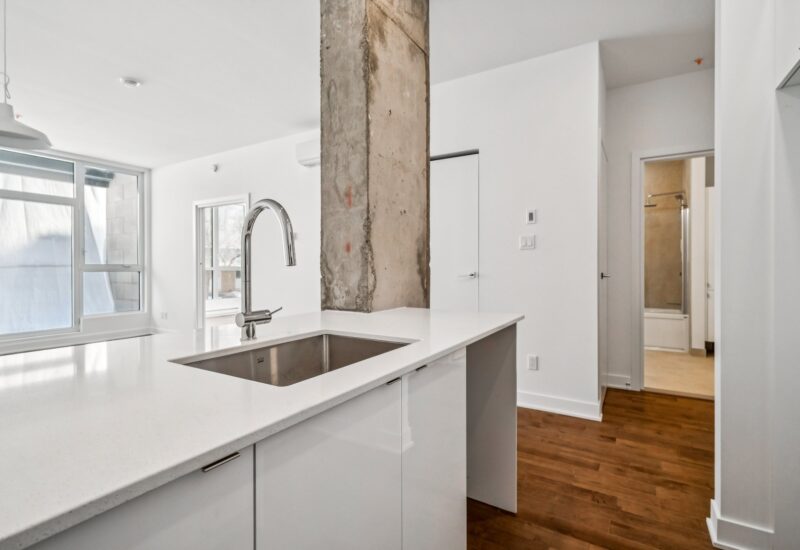 285 Av. Laurier E. #104  Montréal (Le Plateau-Mont-Royal) (Montréal)