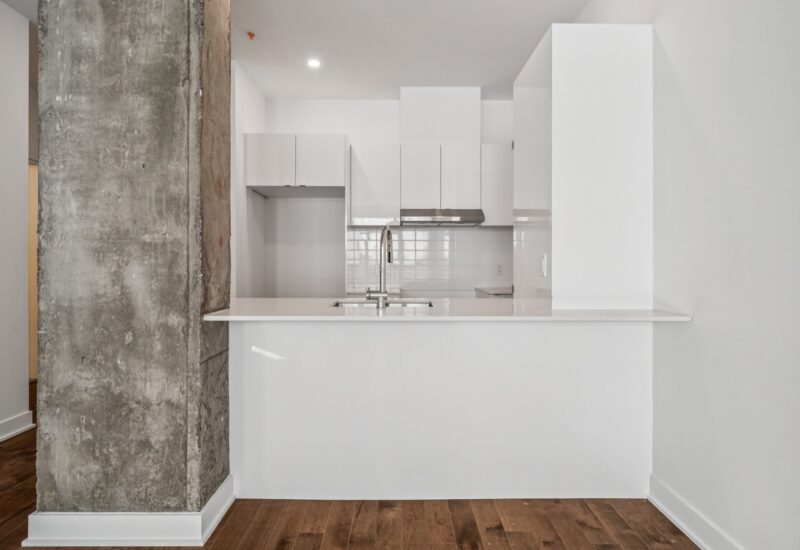 285 Av. Laurier E. #104  Montréal (Le Plateau-Mont-Royal) (Montréal)