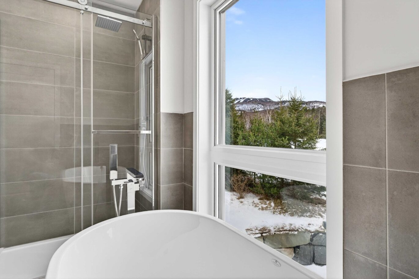 500 Allée du Géant #1  Mont-Tremblant (Laurentides)