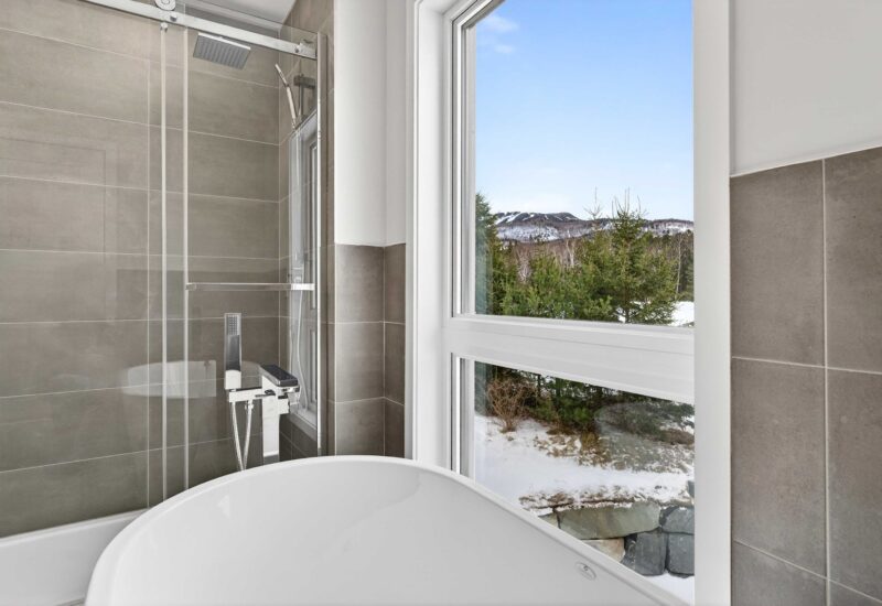 500 Allée du Géant #1  Mont-Tremblant (Laurentides)