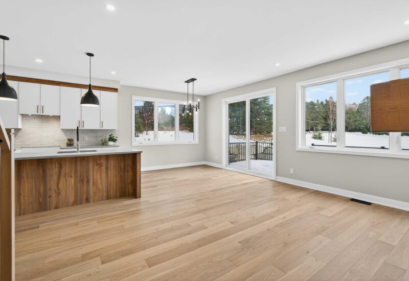 500 Allée du Géant #1  Mont-Tremblant (Laurentides)