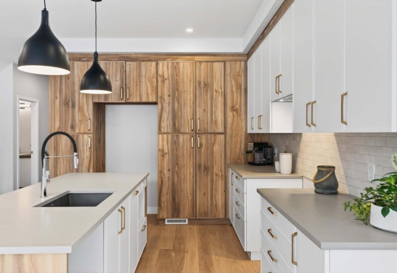 500 Allée du Géant #1  Mont-Tremblant (Laurentides)