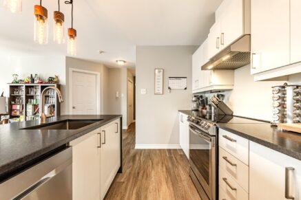 327 Rue Ste-Catherine #402  Saint-Constant (Montérégie)