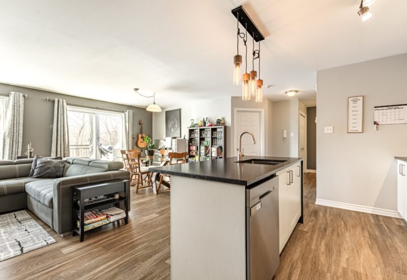 327 Rue Ste-Catherine #402  Saint-Constant (Montérégie)