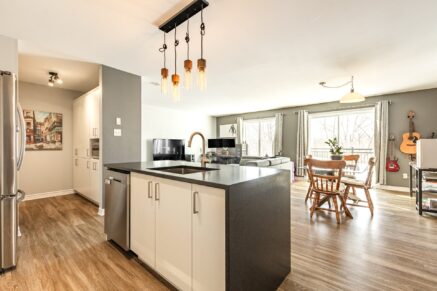 327 Rue Ste-Catherine #402  Saint-Constant (Montérégie)