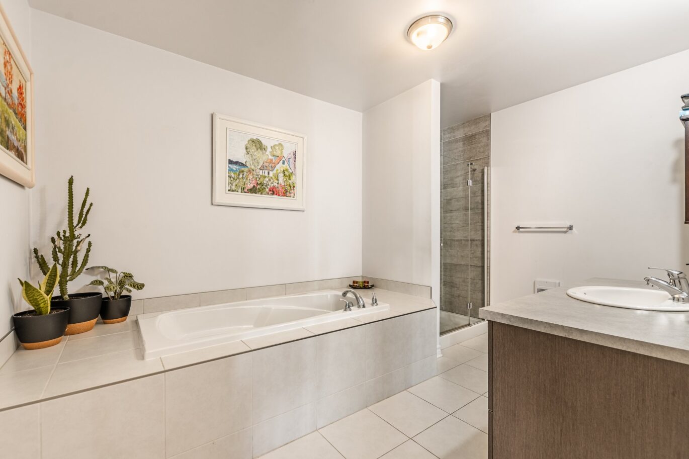 327 Rue Ste-Catherine #402  Saint-Constant (Montérégie)