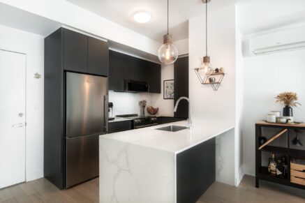 4141 Boul. LaSalle #304  Montréal (Verdun/Île-des-Sœurs) (Montréal)