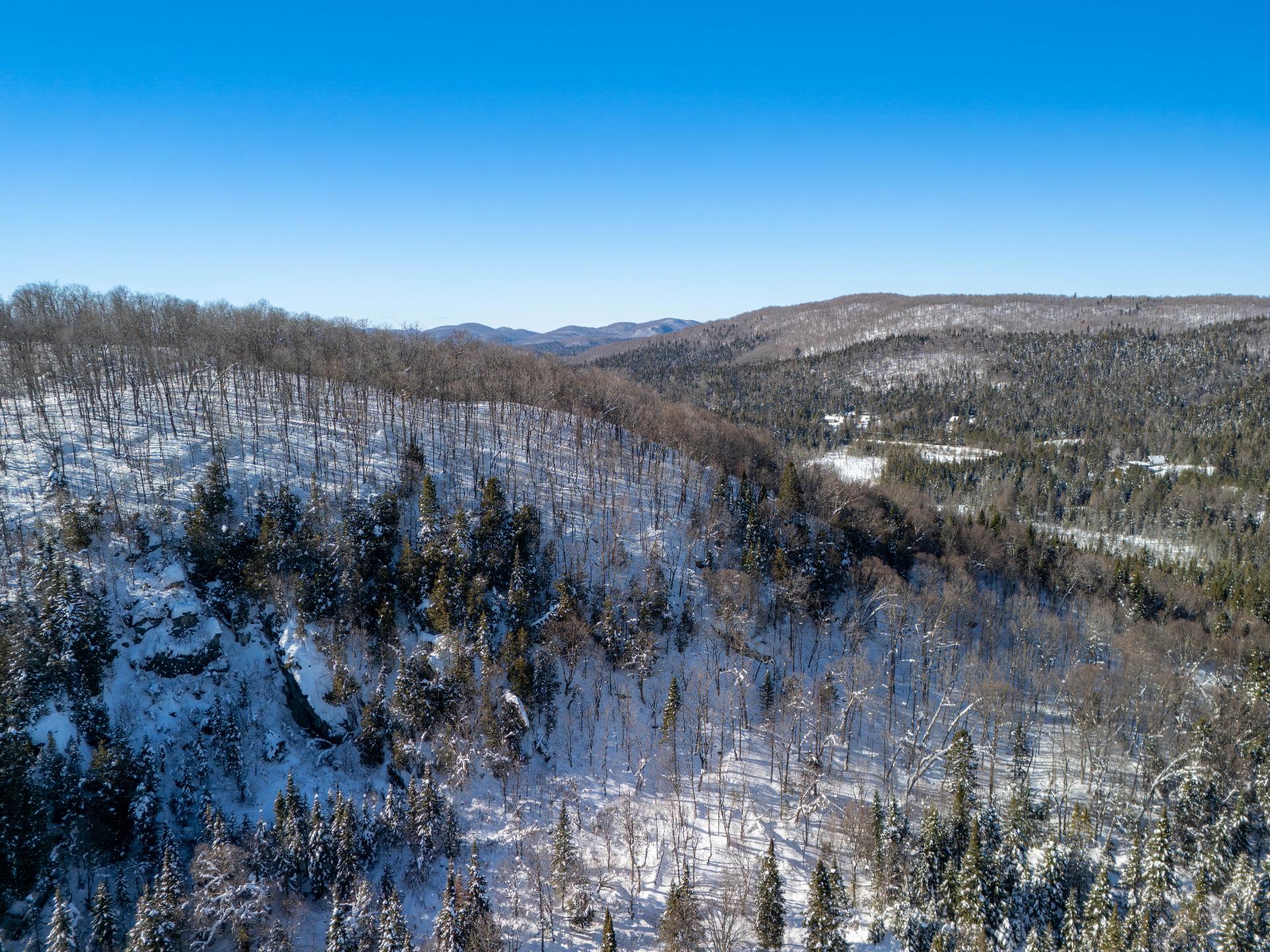 Sainte-Lucie-des-Laurentides  - Terrain  - picture 10