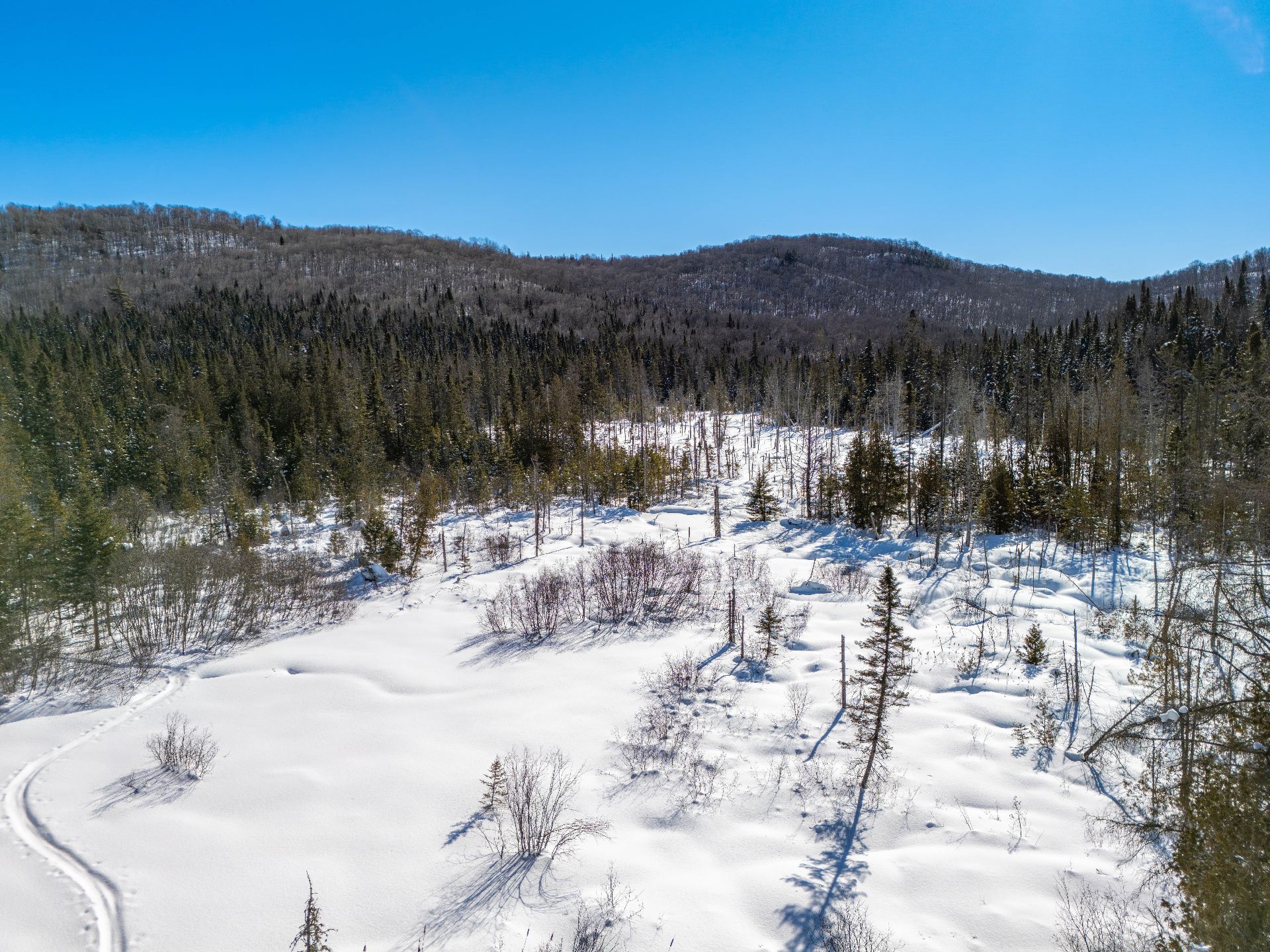 Sainte-Lucie-des-Laurentides  - Terrain  - picture 11