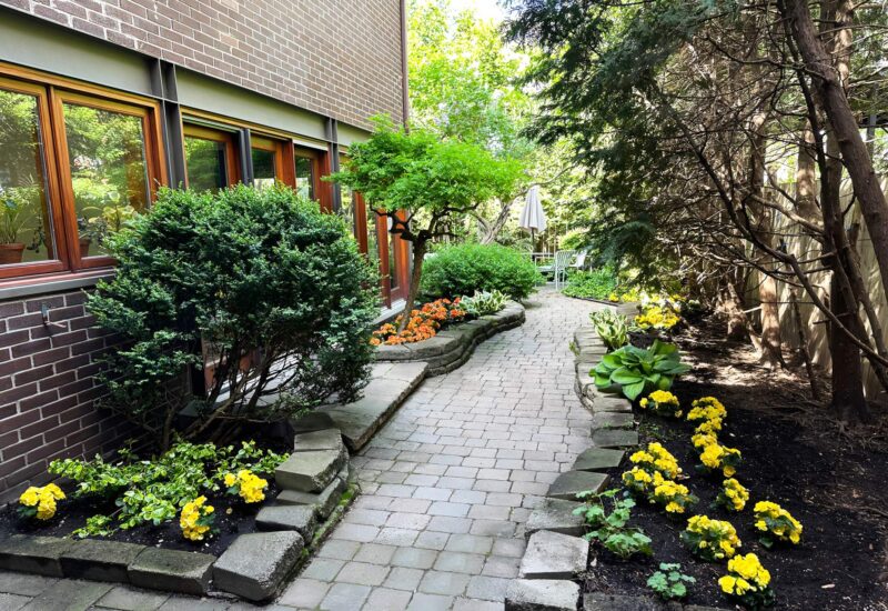 4597 Rue Fabre  Montréal (Le Plateau-Mont-Royal) (Montréal)