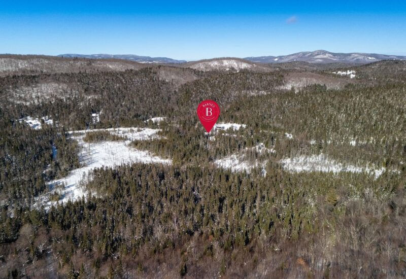 Ch. du 7e-Rang #B  Sainte-Lucie-des-Laurentides (Laurentides)