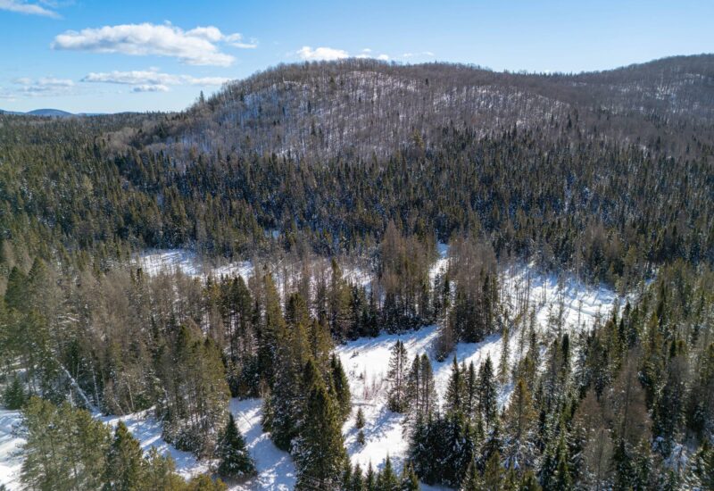 Ch. du 7e-Rang #B  Sainte-Lucie-des-Laurentides (Laurentides)