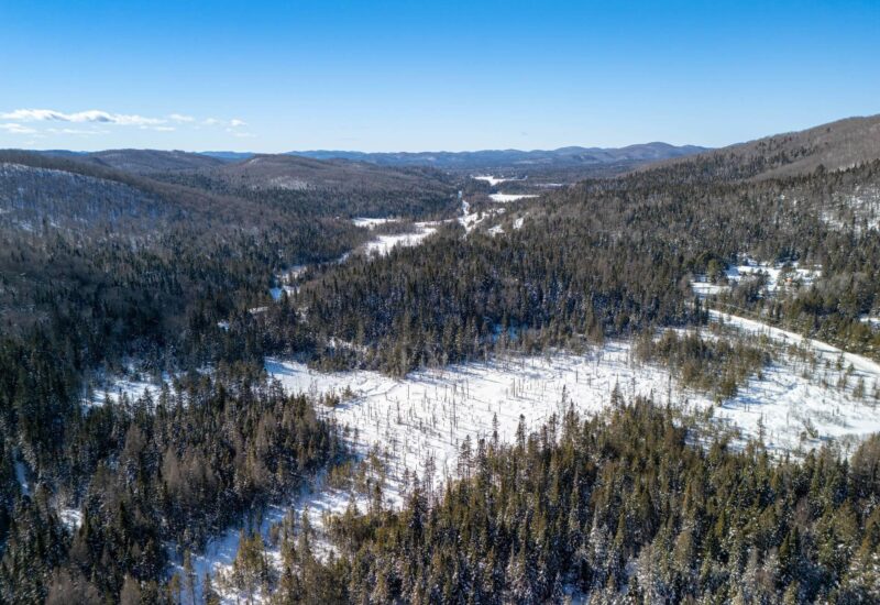 Ch. du 7e-Rang #B  Sainte-Lucie-des-Laurentides (Laurentides)