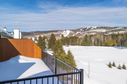 520 Allée du Géant #2  Mont-Tremblant (Laurentides)