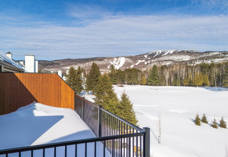 520 Allée du Géant #2  Mont-Tremblant (Laurentides)