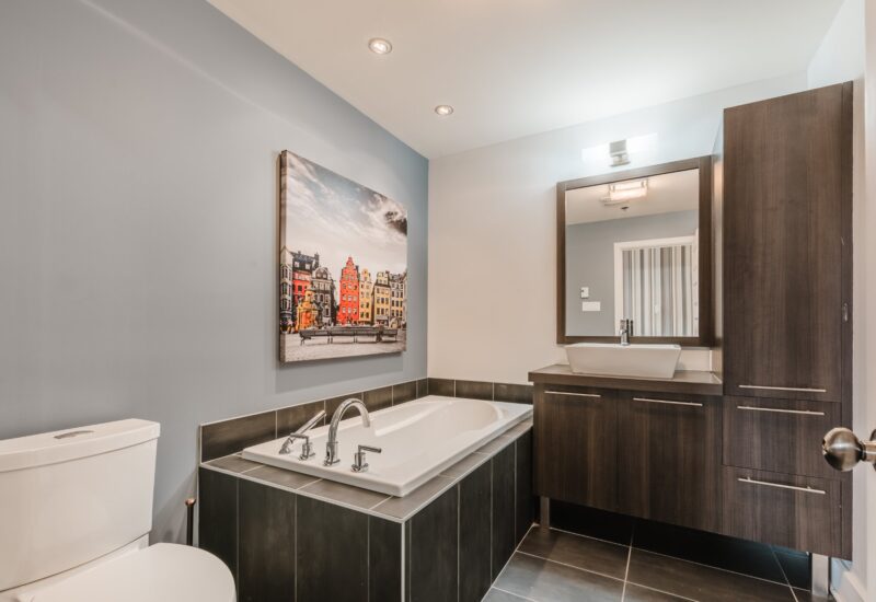 695 Rue du Docteur-Chevrier #401  Saint-Lambert (Montérégie)