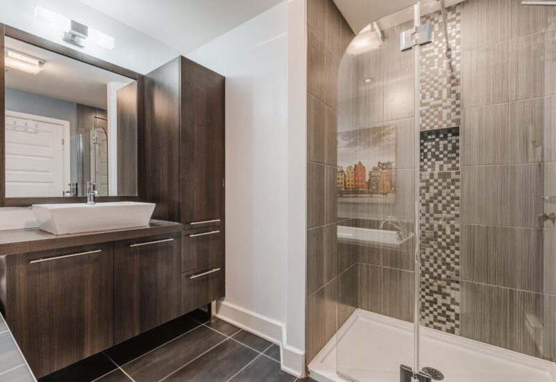 695 Rue du Docteur-Chevrier #401  Saint-Lambert (Montérégie)