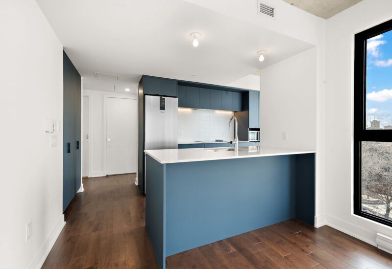 1220 Boul. René-Lévesque E. #611  Montréal (Ville-Marie) (Montréal)