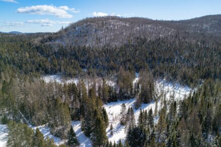 Ch. du 7e-Rang #A  Sainte-Lucie-des-Laurentides (Laurentides)