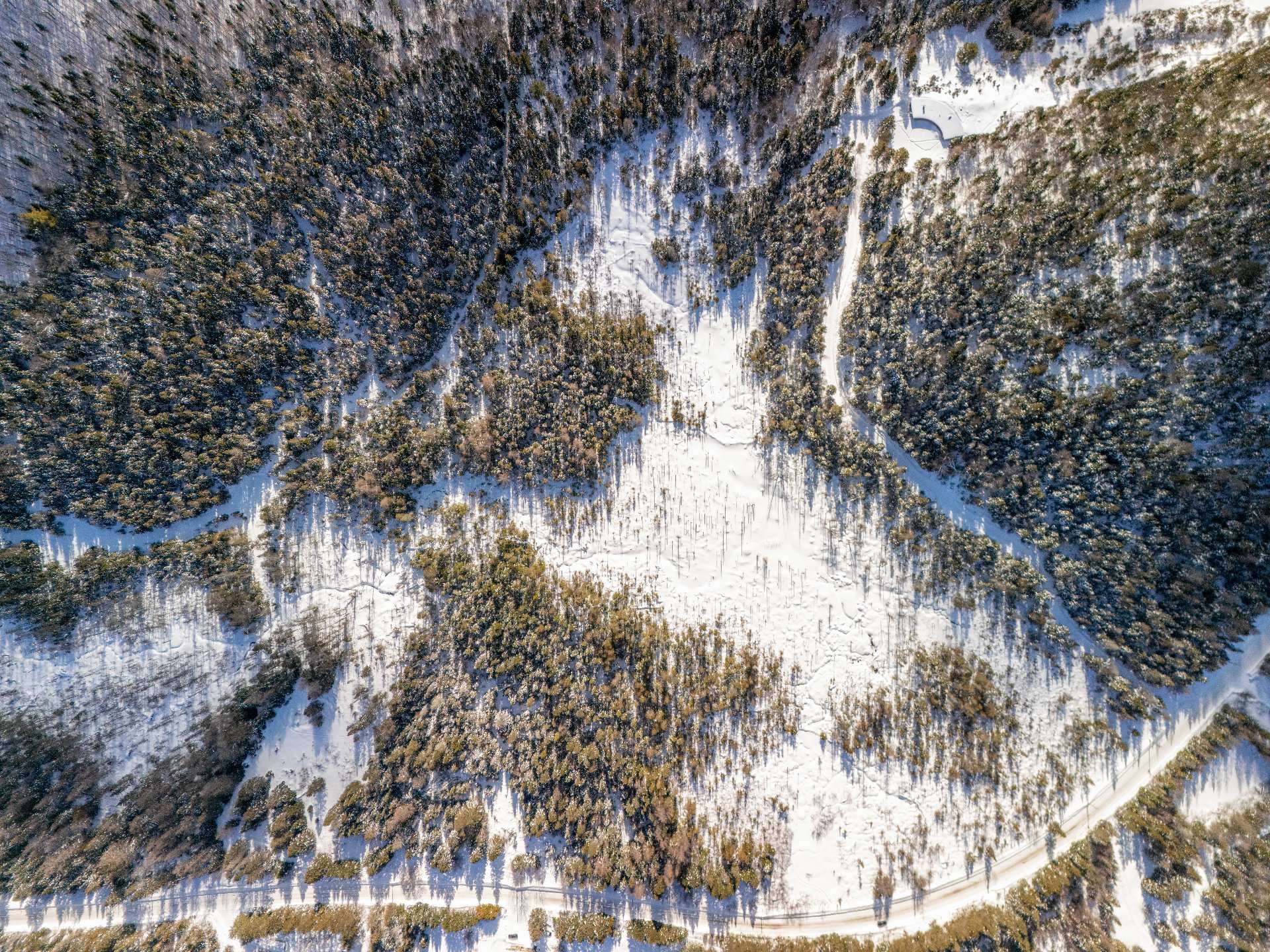 Sainte-Lucie-des-Laurentides  - Terrain  - picture 4