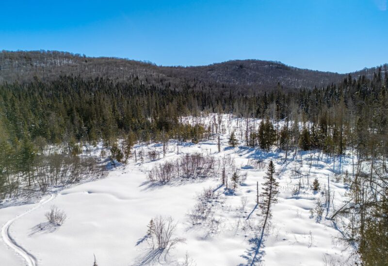 Ch. du 7e-Rang #A  Sainte-Lucie-des-Laurentides (Laurentides)