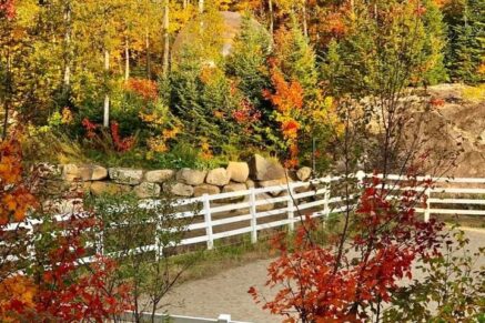 340 Ch. de Chertsey  Sainte-Marguerite-du-Lac-Masson (Laurentides)