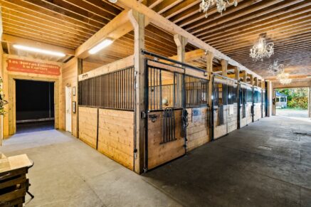 340 Ch. de Chertsey  Sainte-Marguerite-du-Lac-Masson (Laurentides)