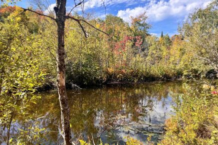 340 Ch. de Chertsey  Sainte-Marguerite-du-Lac-Masson (Laurentides)