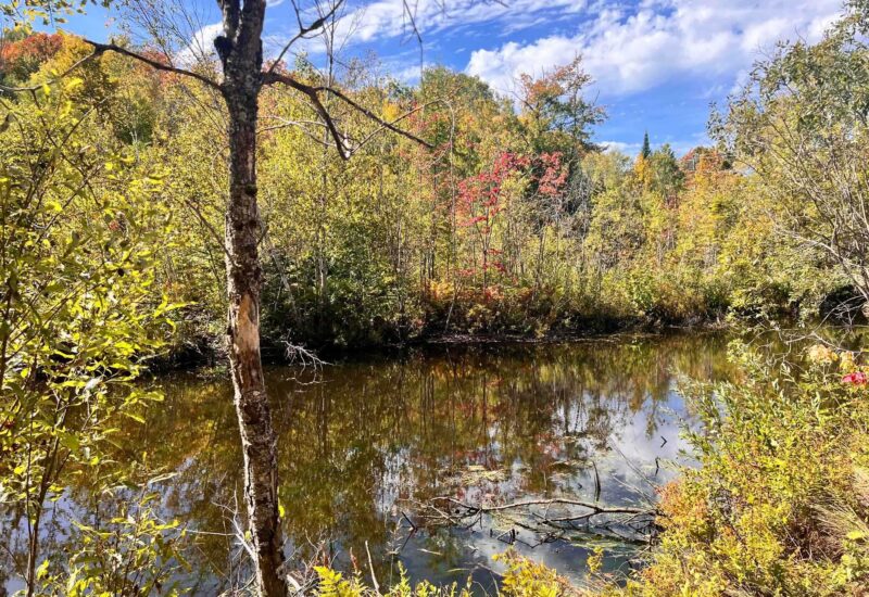 340 Ch. de Chertsey  Sainte-Marguerite-du-Lac-Masson (Laurentides)