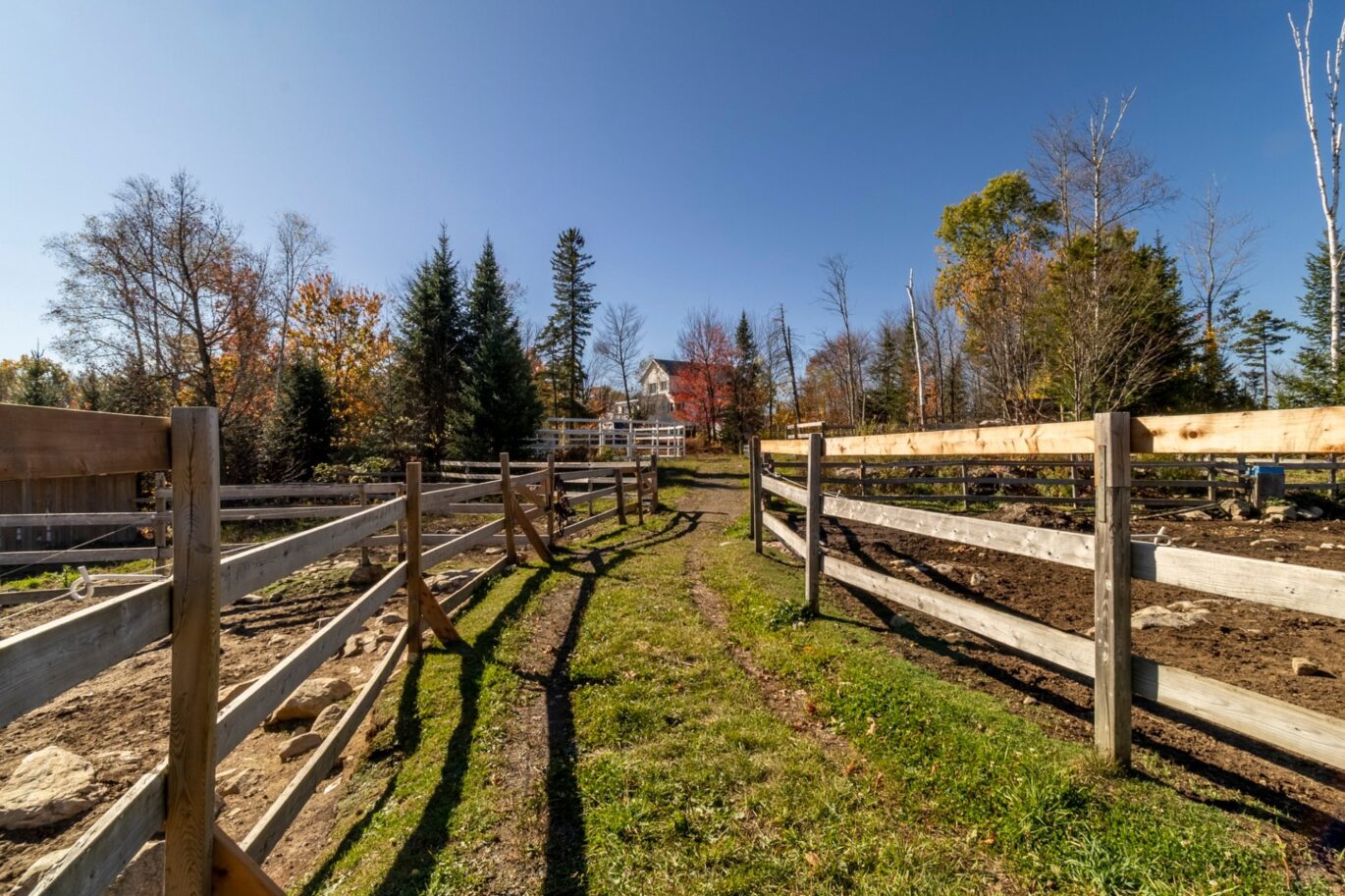 340 Ch. de Chertsey  Sainte-Marguerite-du-Lac-Masson (Laurentides)