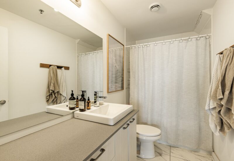 5620 Rue De La Roche #411  Montréal (Rosemont/La Petite-Patrie) (Montréal)