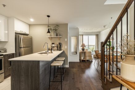 5620 Rue De La Roche #411  Montréal (Rosemont/La Petite-Patrie) (Montréal)