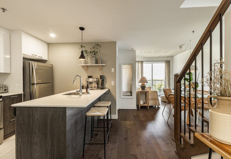 5620 Rue De La Roche #411  Montréal (Rosemont/La Petite-Patrie) (Montréal)