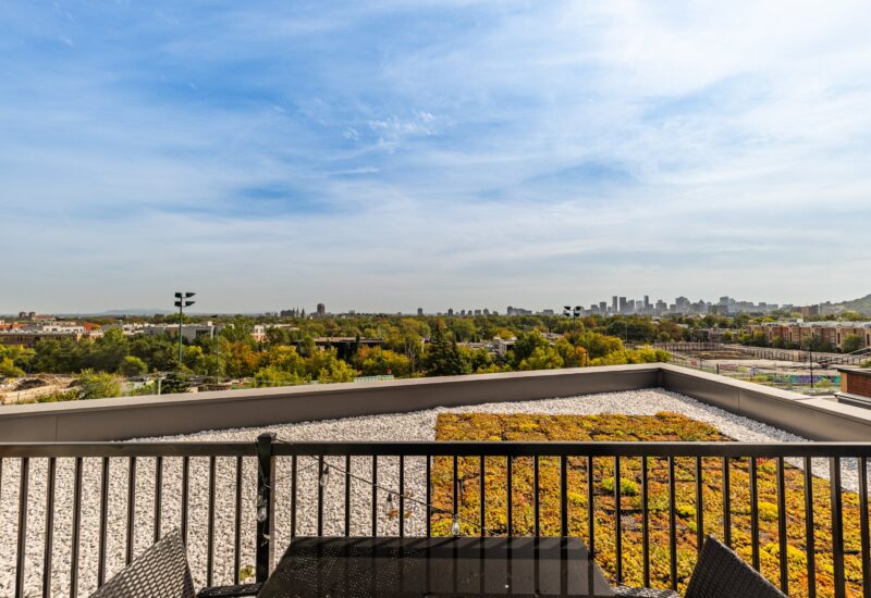 5620 Rue De La Roche #411  Montréal (Rosemont/La Petite-Patrie) (Montréal)